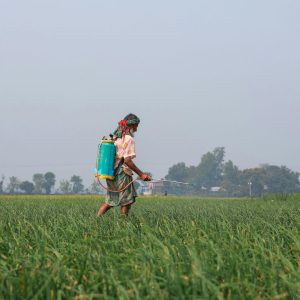 DIY Pest Control Products Image