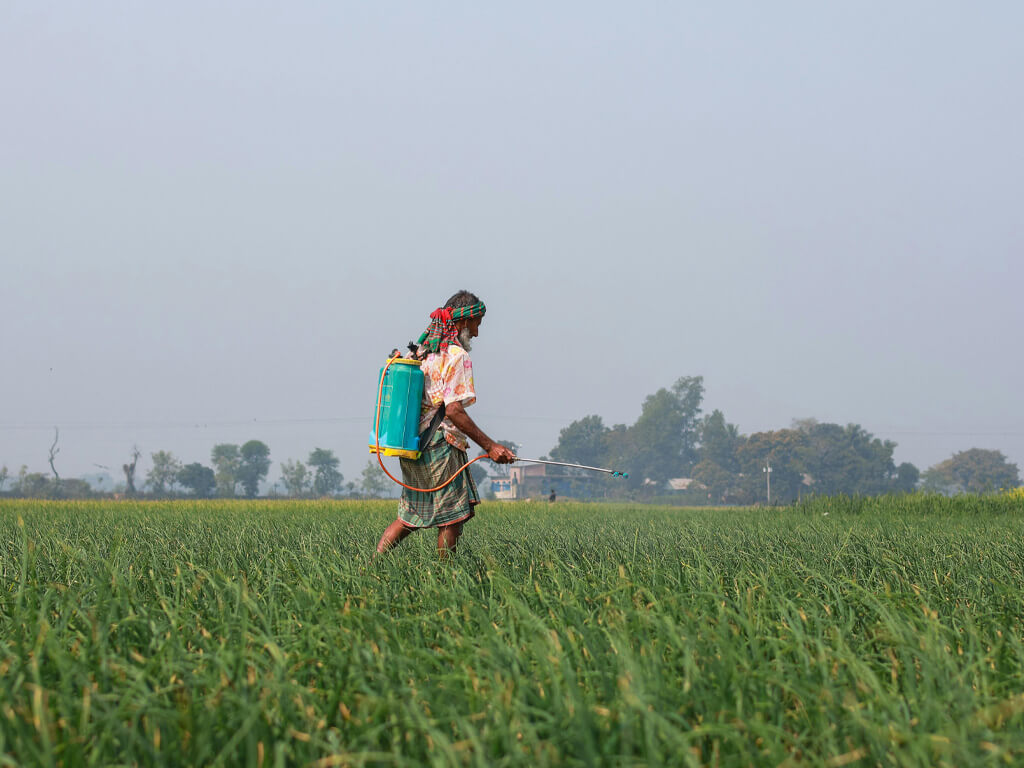 DIY Pest Control Products Image