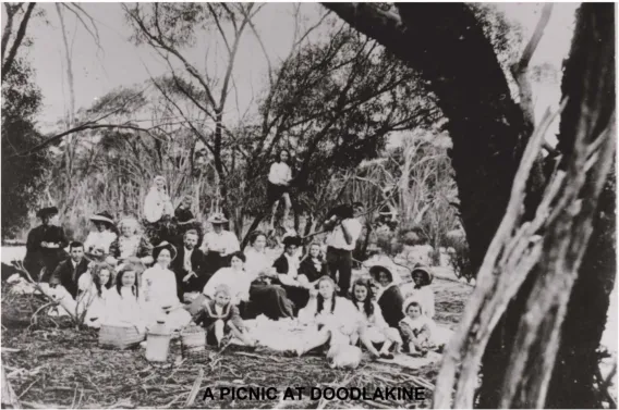 Image Showing A Picnic At Doodlakine