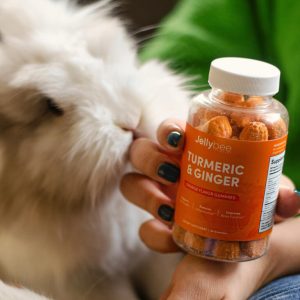 Pet Supplements Image